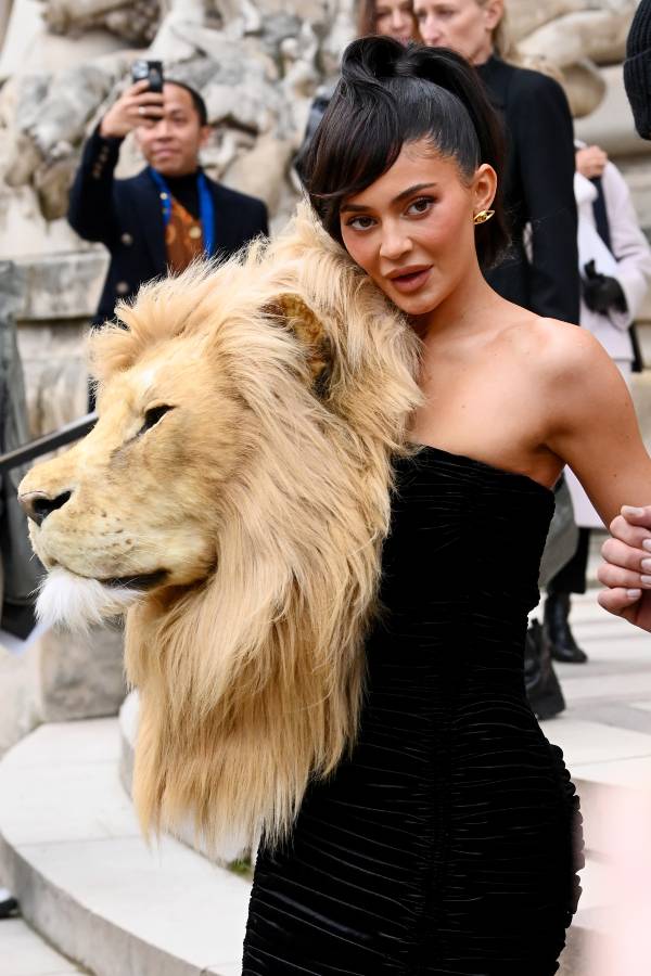 Photo: David Fisher/Shutterstock
