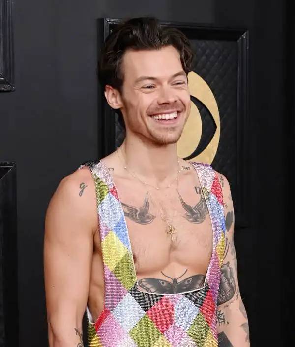 ハリー・スタイルズ Photo: David Fisher/Shutterstock