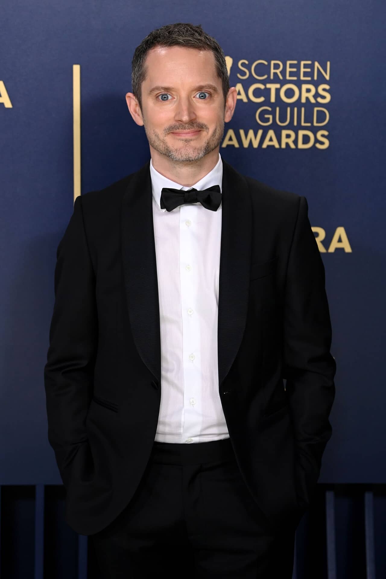 イライジャ・ウッド(Photo:David-Fisher / Shutterstock-for-SAG)